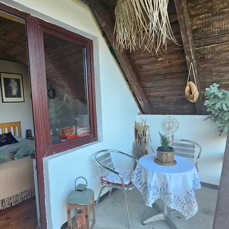Wichrowe Wzgorze Holiday home Tolkmicko